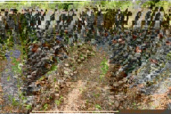 National Unity Day Celebration -2022